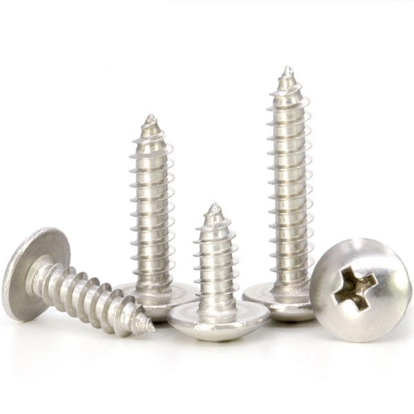 Stainless steel screws